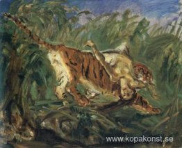 Tiger i djungeln