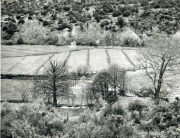 Arizona landskap