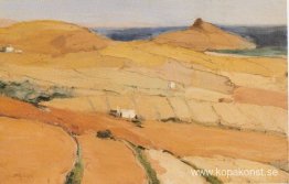Tinos landskap