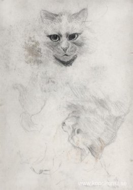 MÖRKÖGAD KATT