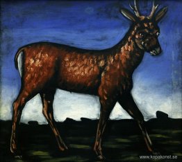 Rådjur