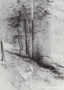 Skog