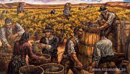 Vintage i Ribera del Duero