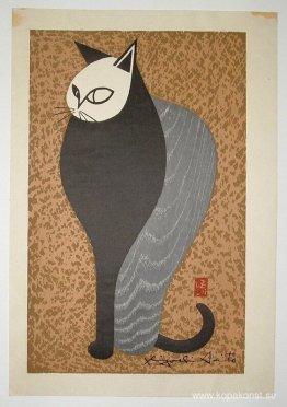 Katt