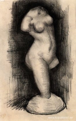 Venus torso