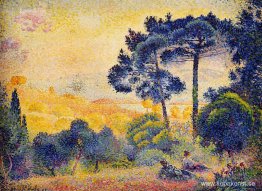 Provence landskap