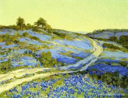 Bluebonnets, sen eftermiddag