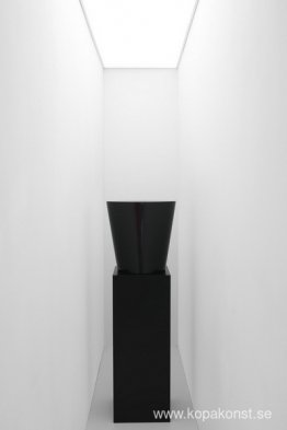 Torso