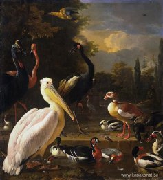 En pelikan och andra fåglar nära en pool (Den flytande fjädern)