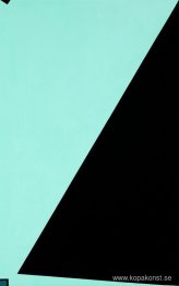 Space Force Vit Svart Blå