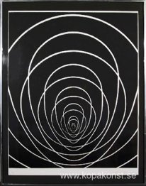 Koncentriskt utrymme