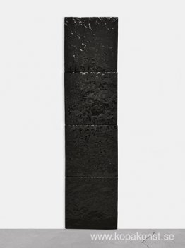 Namnlös (Black Earth-serien)