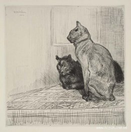 Två katter på ett skåp