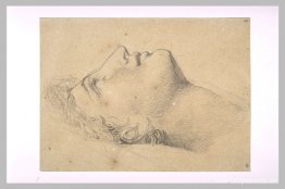 Studie av huvudet av Andromache