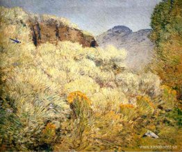 Harney Desert