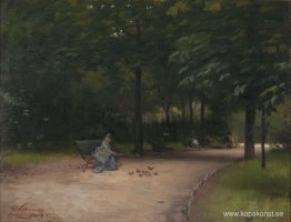 Mata fåglar i parken