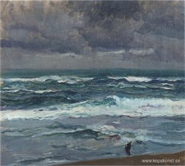 Havslandskap
