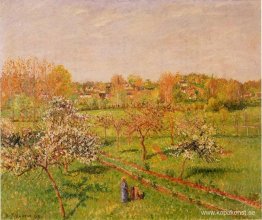 Morgon, blommande äppelträd, Eragny