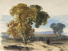 Myrlandskap (Tree Study)