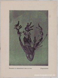 Överföring och placering i en dröm (förångning)