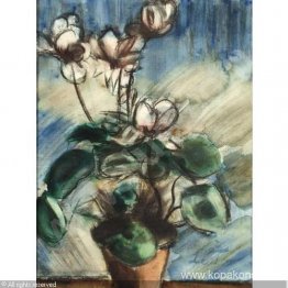 BLOMMA STILLEIV