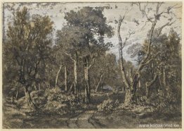 Eken kraschade in i skogen i Fontainebleau