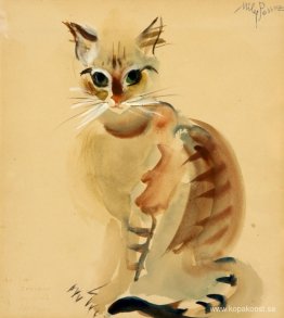 Katt