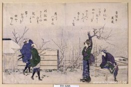 Tehus Umeyashiki