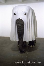 Inte rädd för kärlek