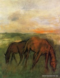 Två hästar i en hage