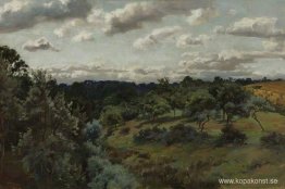 Landskap