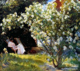 Marie i trädgården (Rosorna)