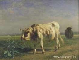 Den vita tjuren