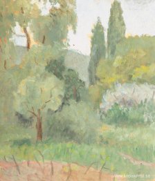 Juan-les-Pins landskap