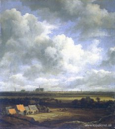 Vy över Haarlem med blekningsfält i förgrunden