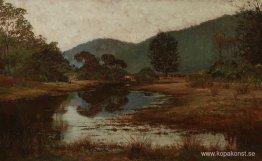 Ett vattenhål vid Hawkesbury River