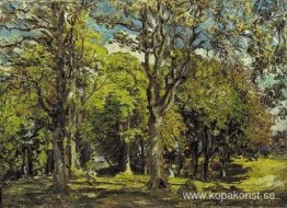 Oak Grove, Bridgnorth, Shropshire
