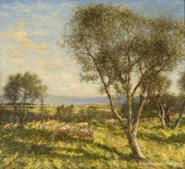 Romersk Campagna
