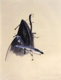 Untitled (Smycke-serien)