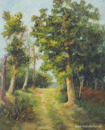 Mogoșoaia skogsstig