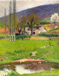 Landskap nära Toulouse