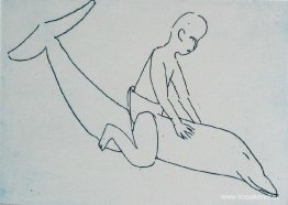 Delfinpojke