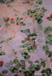 Nasturtiums