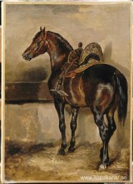 Turkisk häst i ett stall