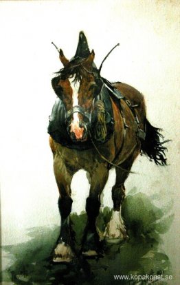 Häst