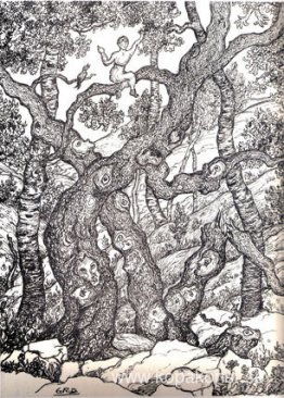 Namnlös (skog)