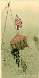 Sparv och Fågelskrämma