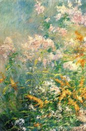 Ängsblommor (Golden Rod och Wild Aster)