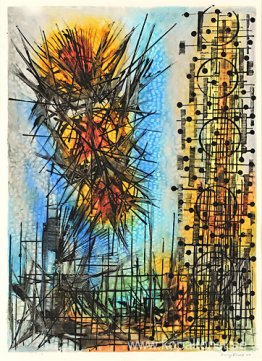 Observation VII