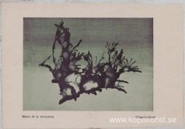 Revolutionens mani (vaporization)